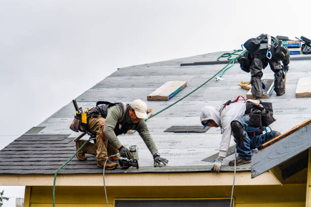 Professional Gutter Installation technician working in Webster, TX